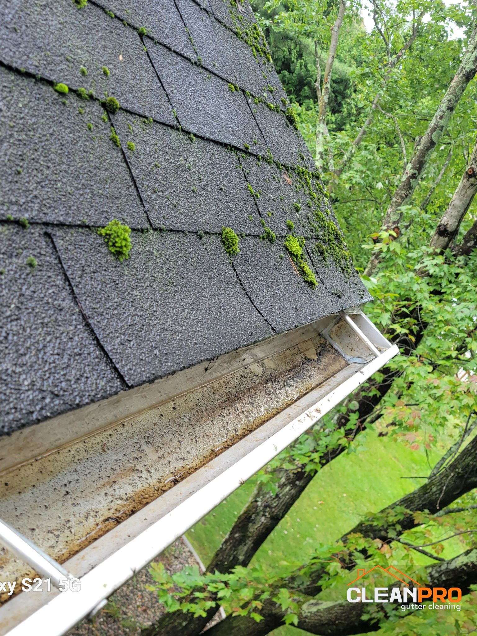 Gutter Cleaning in Indianapolis for Cheryl Home