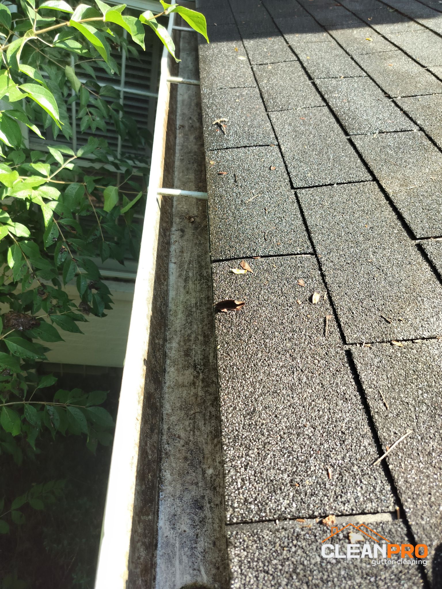 Gutter Cleaning in Madison for Shani Home