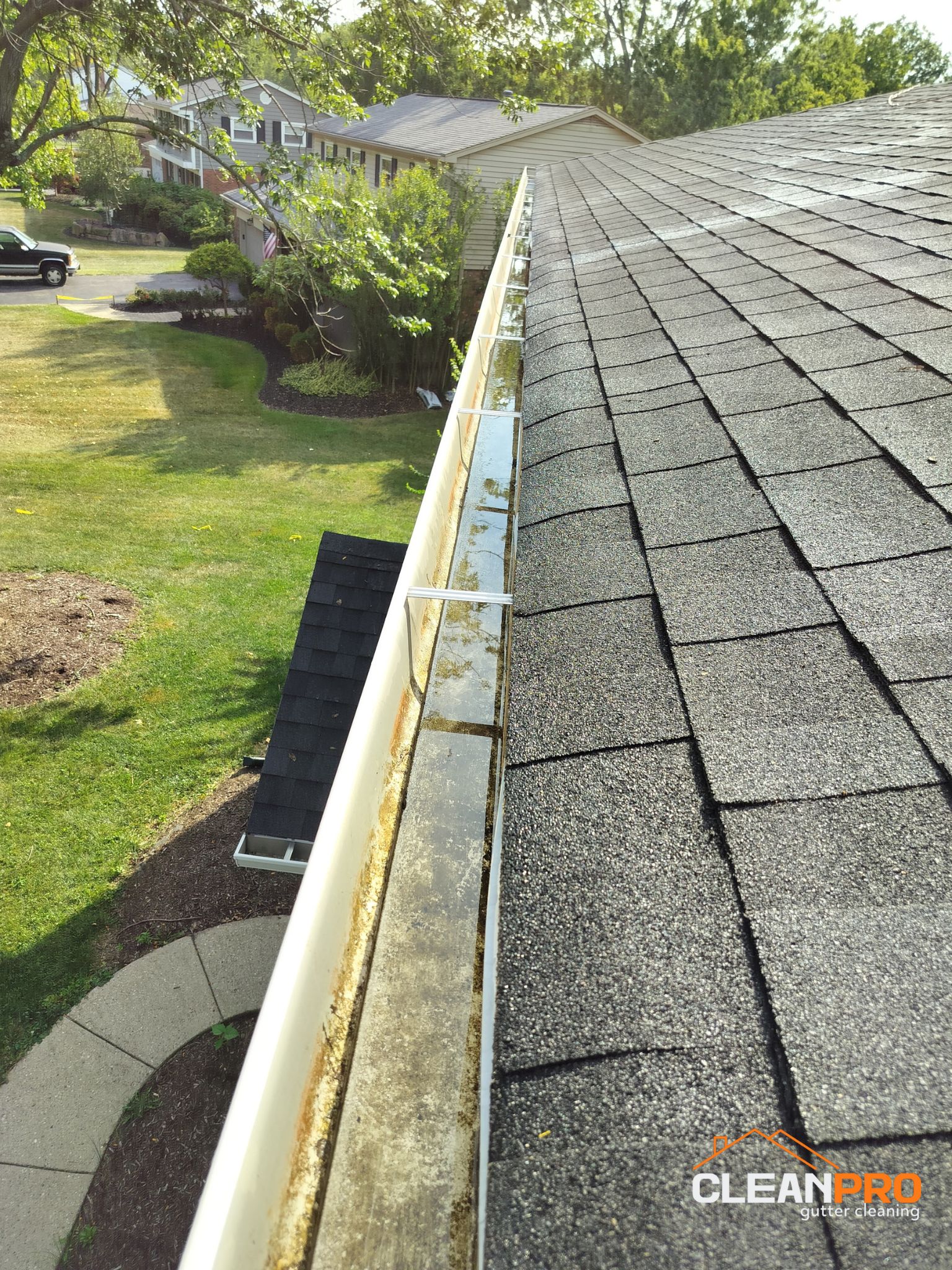 Gutter Cleaning in Naperville for Cindy Home