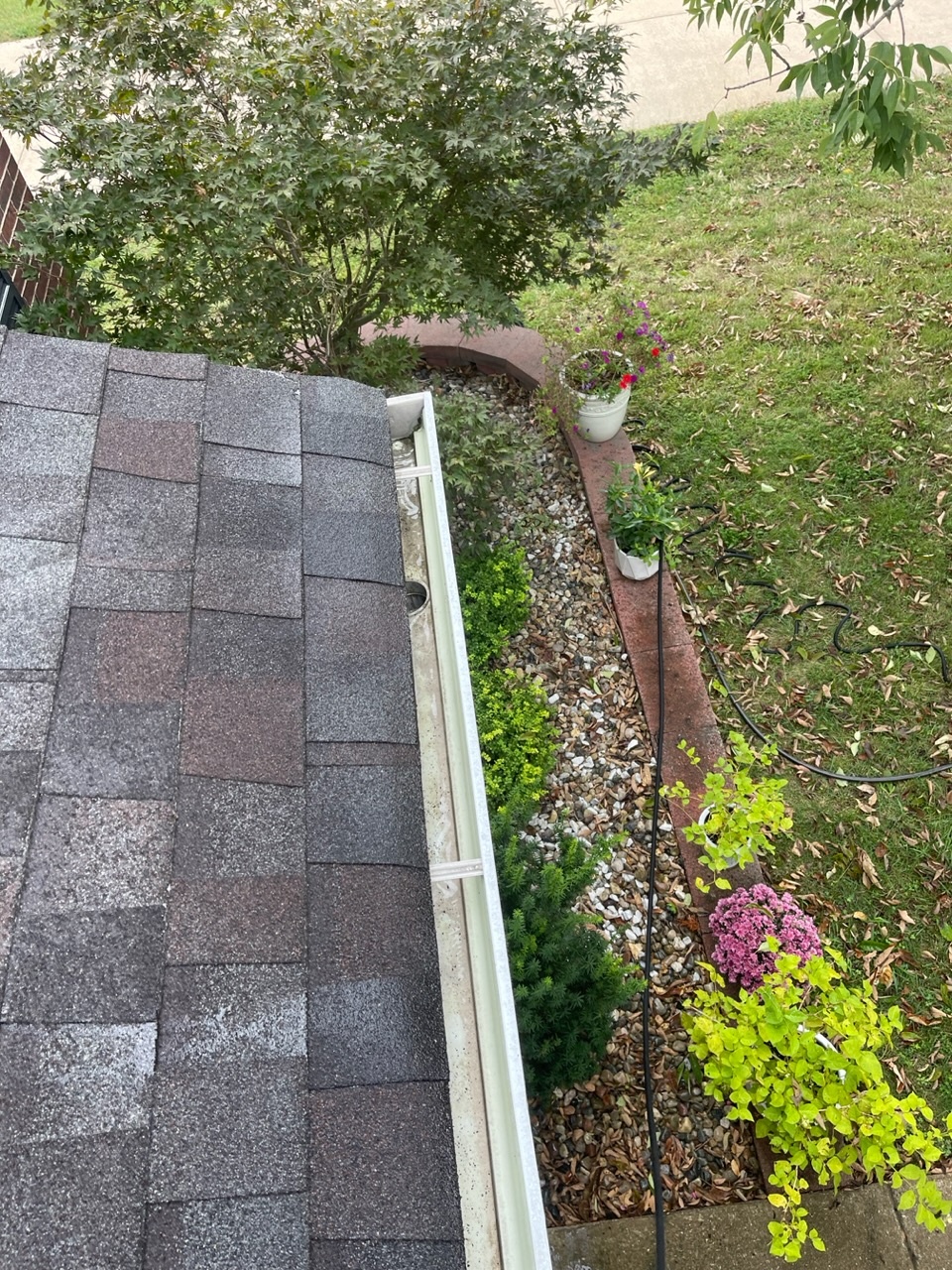 Knoxville Gutter Cleaning Service for Elizabeth's Home