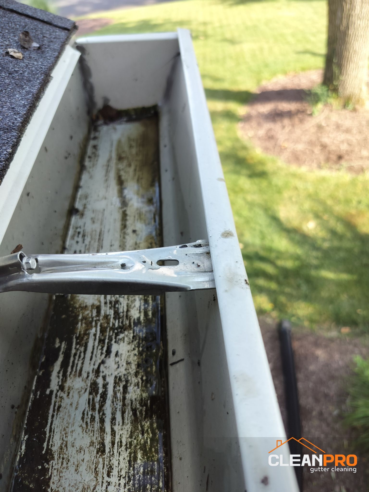 Naperville Gutter Cleaners
