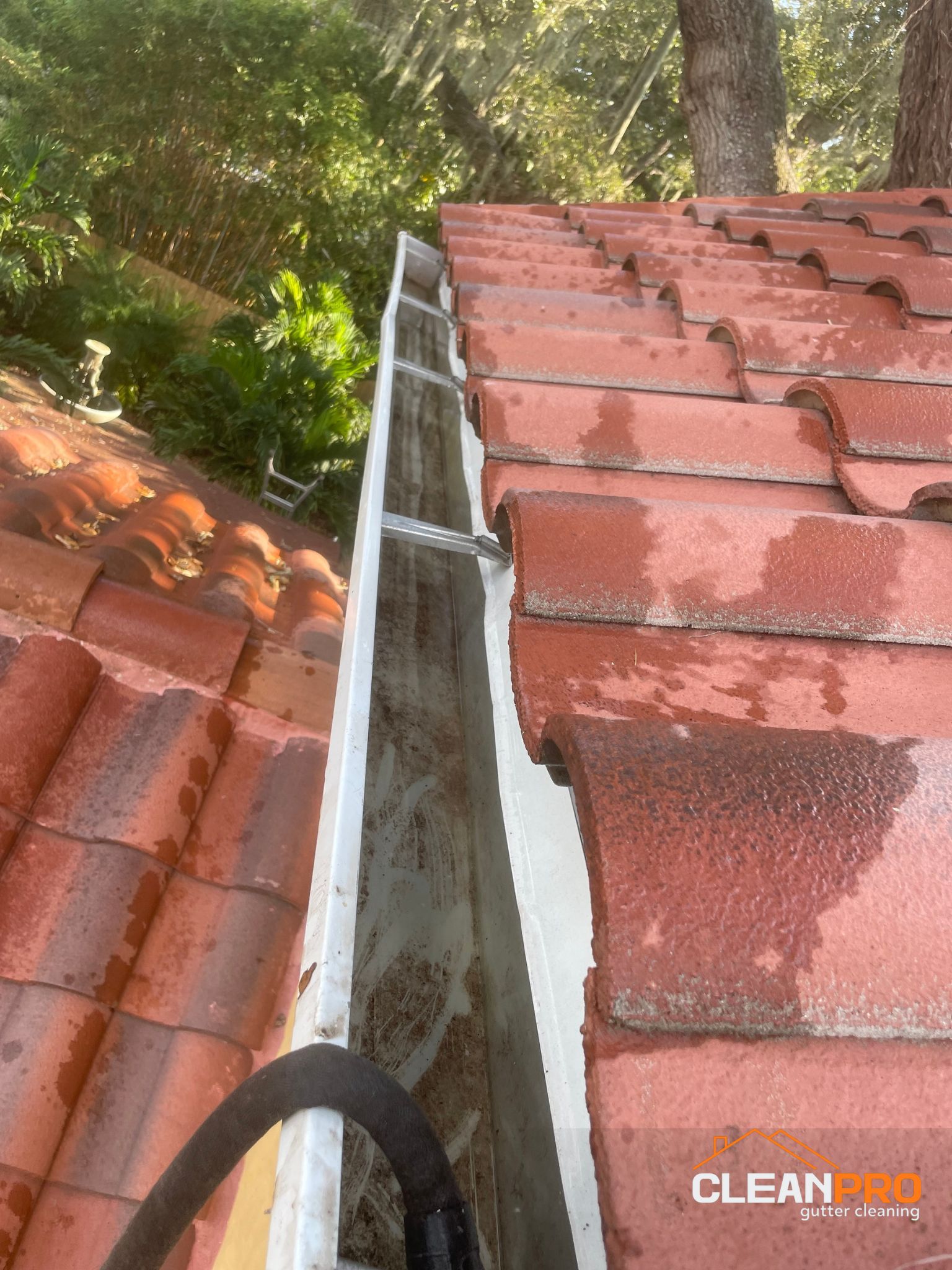 Professional Naples Gutter Cleaners