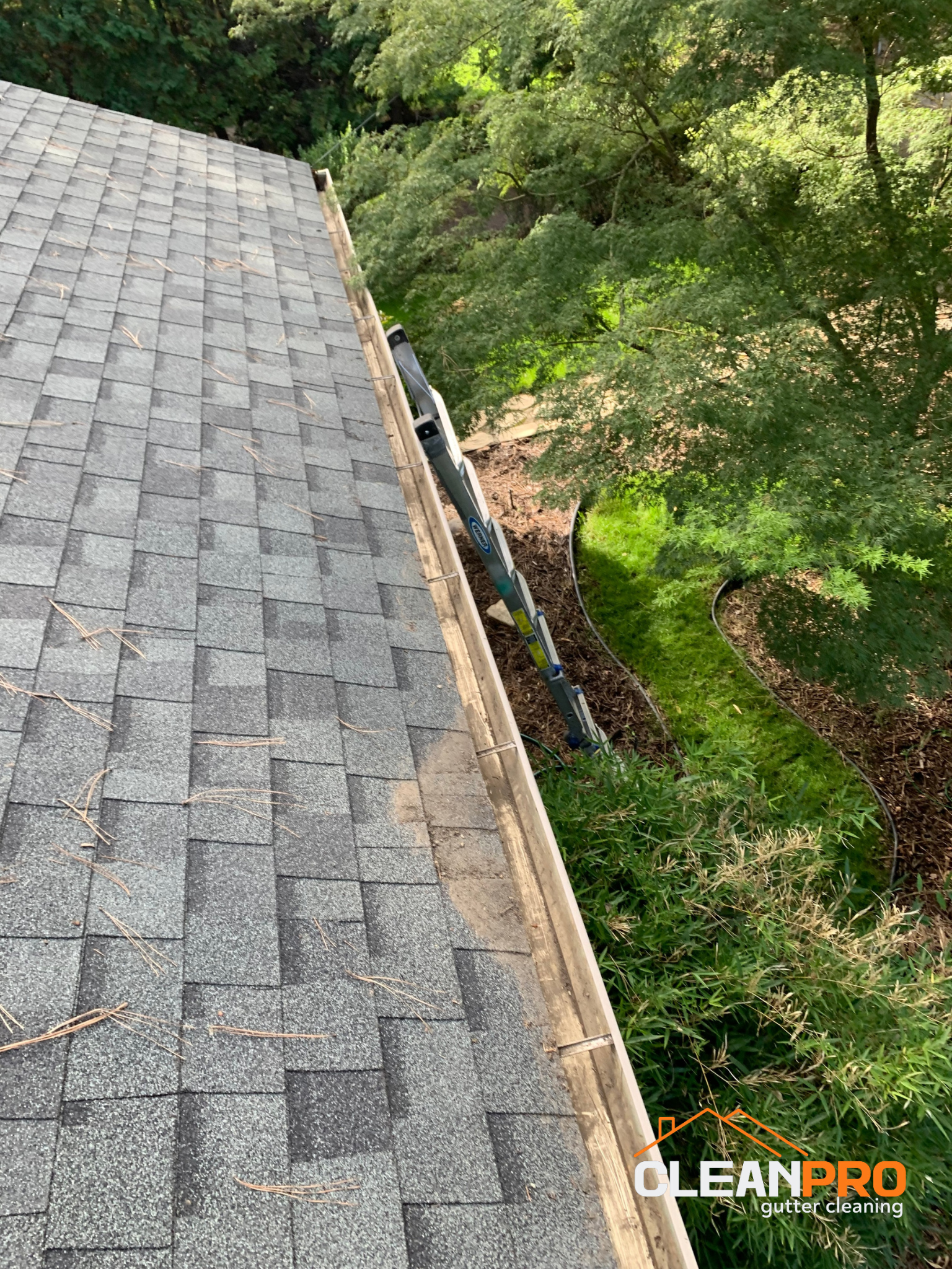Quality Gutter Cleaning in Boston MA
