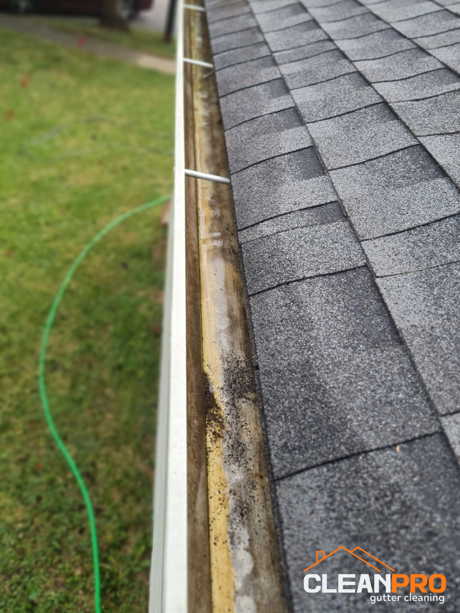 Quality Gutter Cleaning in Knoxville TN