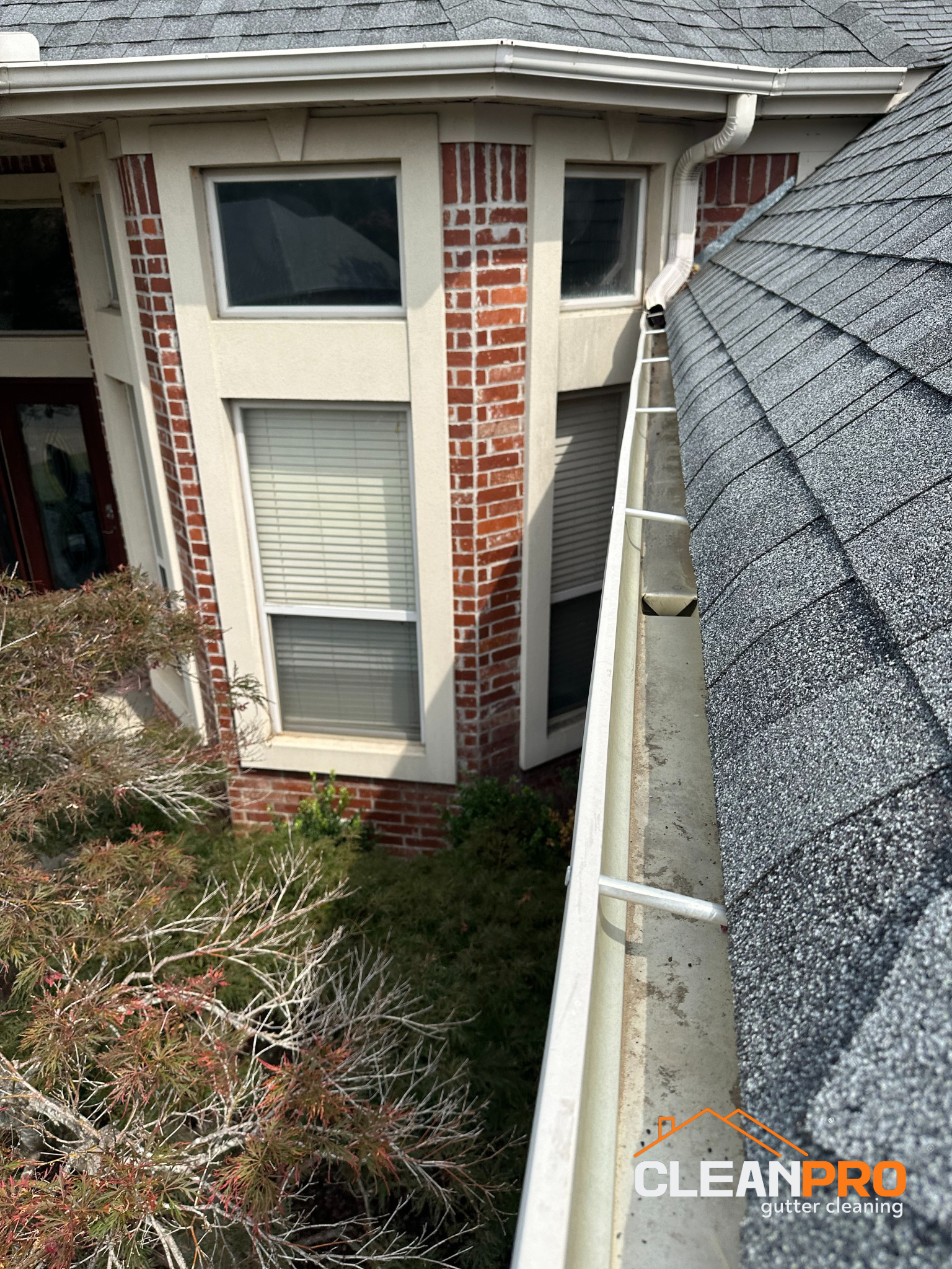 Quality Gutter Cleaning in San Diego CA