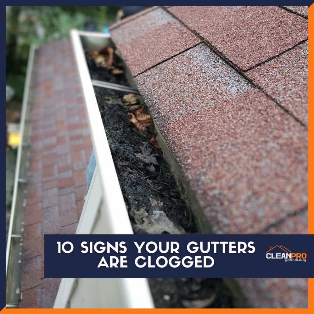 10 Signs your gutters are clogged