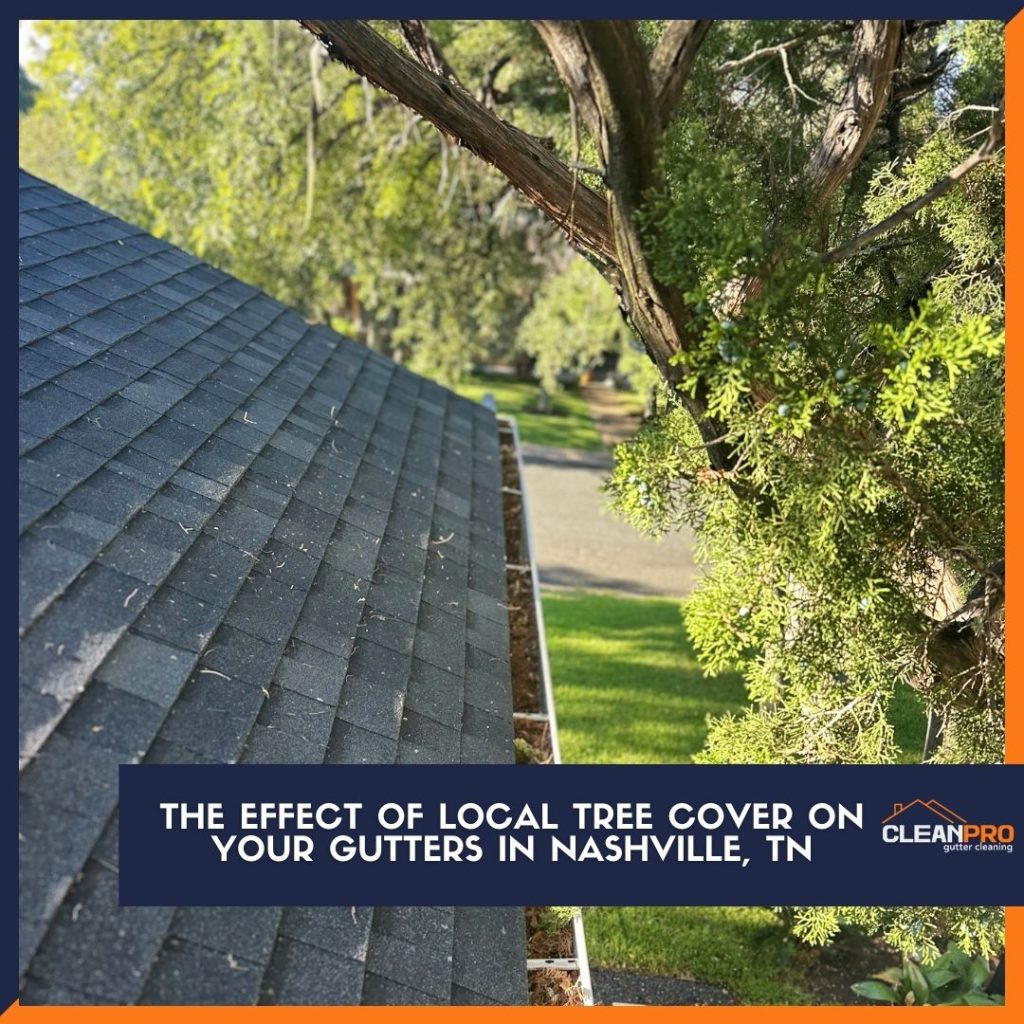 The Effect of Local Tree Cover on Your Gutters in Nashville, TN