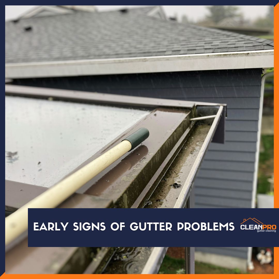 Early Signs of Gutter Problems