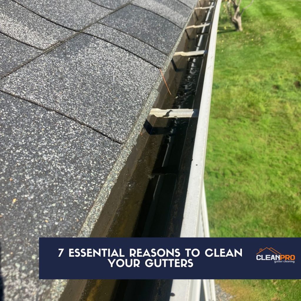Clean Your Gutters - Here is 7 Essential Reasons