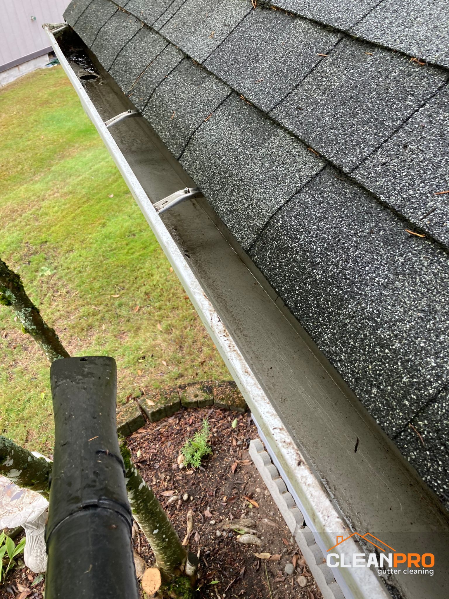 Best Gutter Cleaning Service in Cary