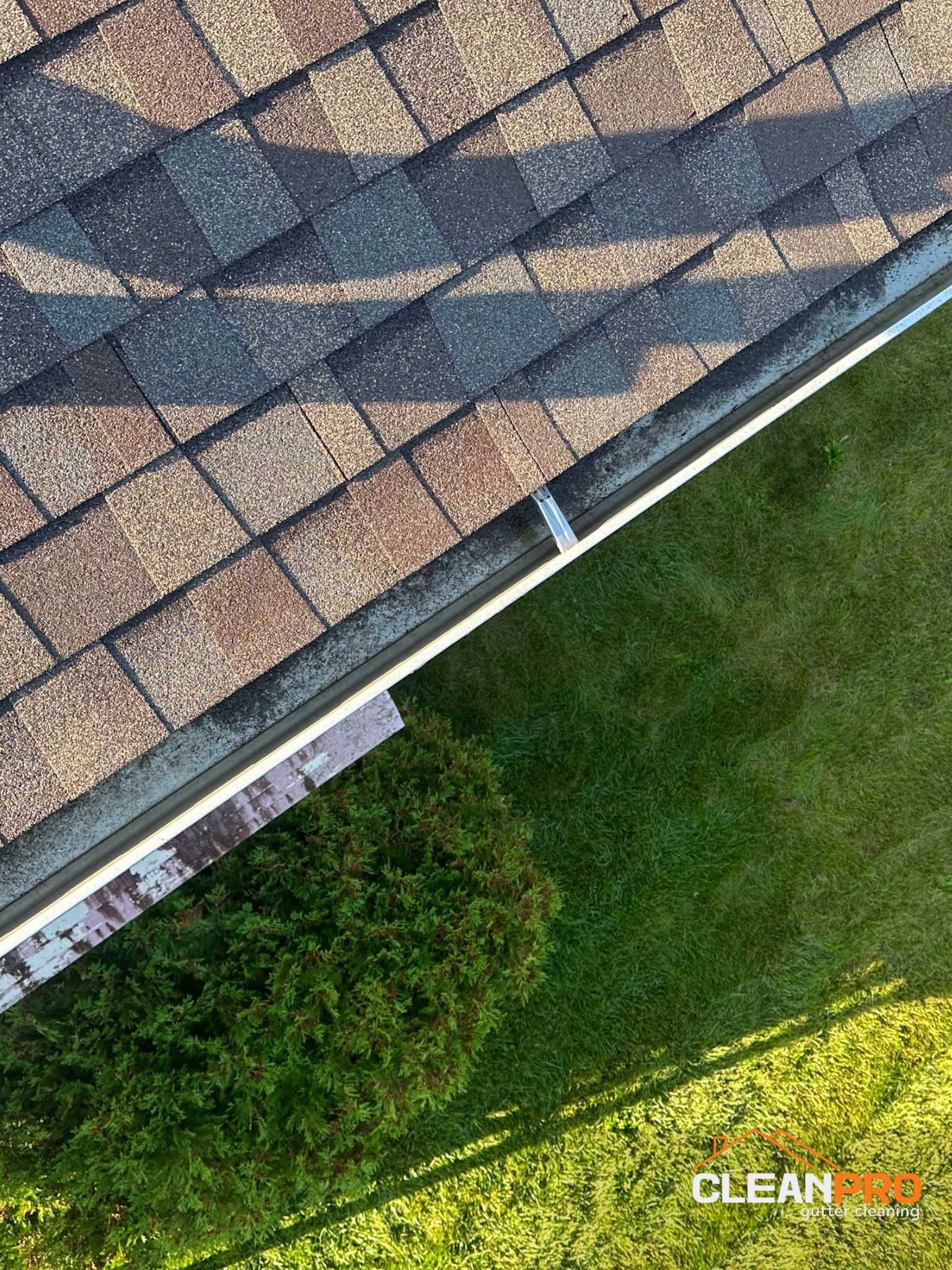 Best Gutter Cleaning Service in Charlotte