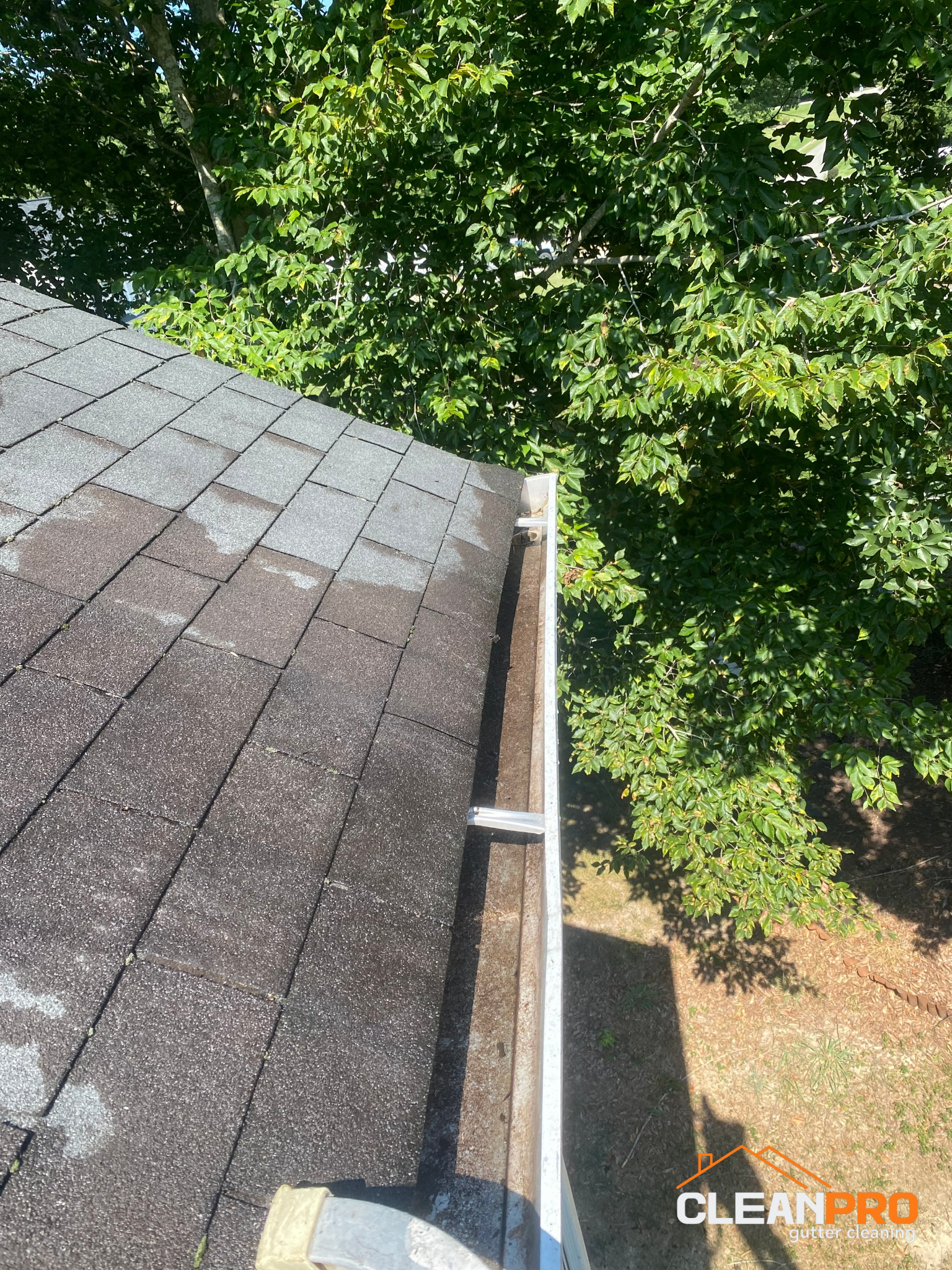Best Gutter Cleaning Service in Cheasapeake