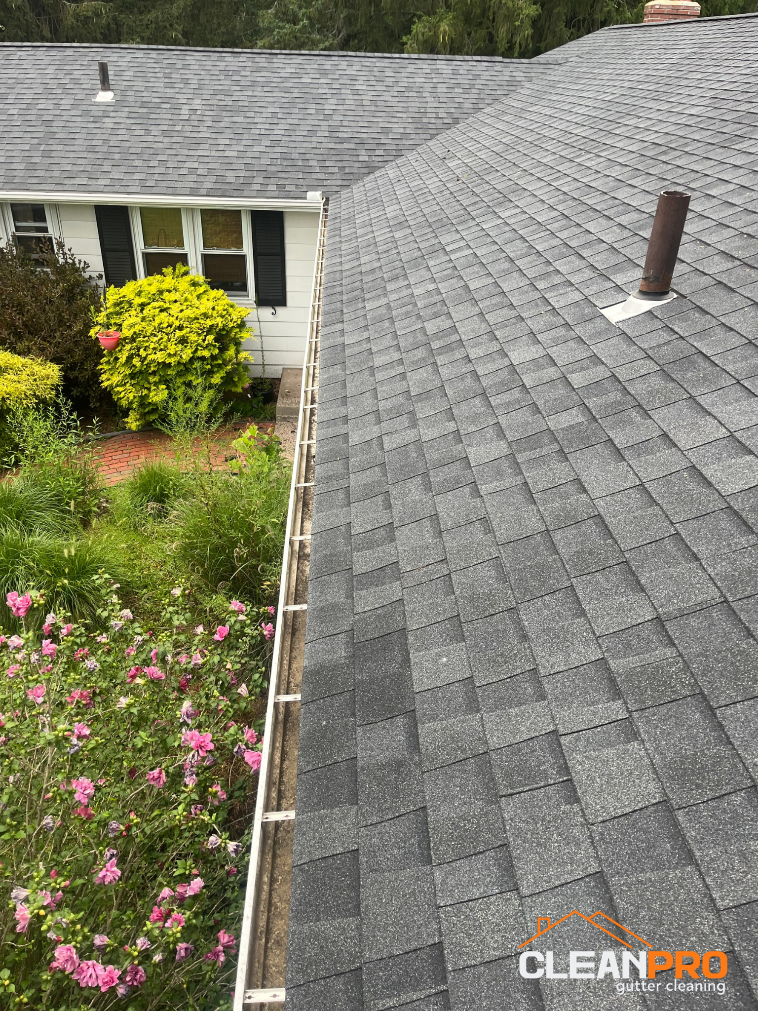 Best Gutter Cleaning Service in Chicago
