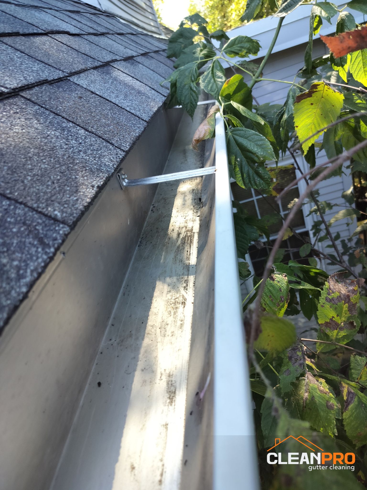 Best Gutter Cleaning Service in Raleigh