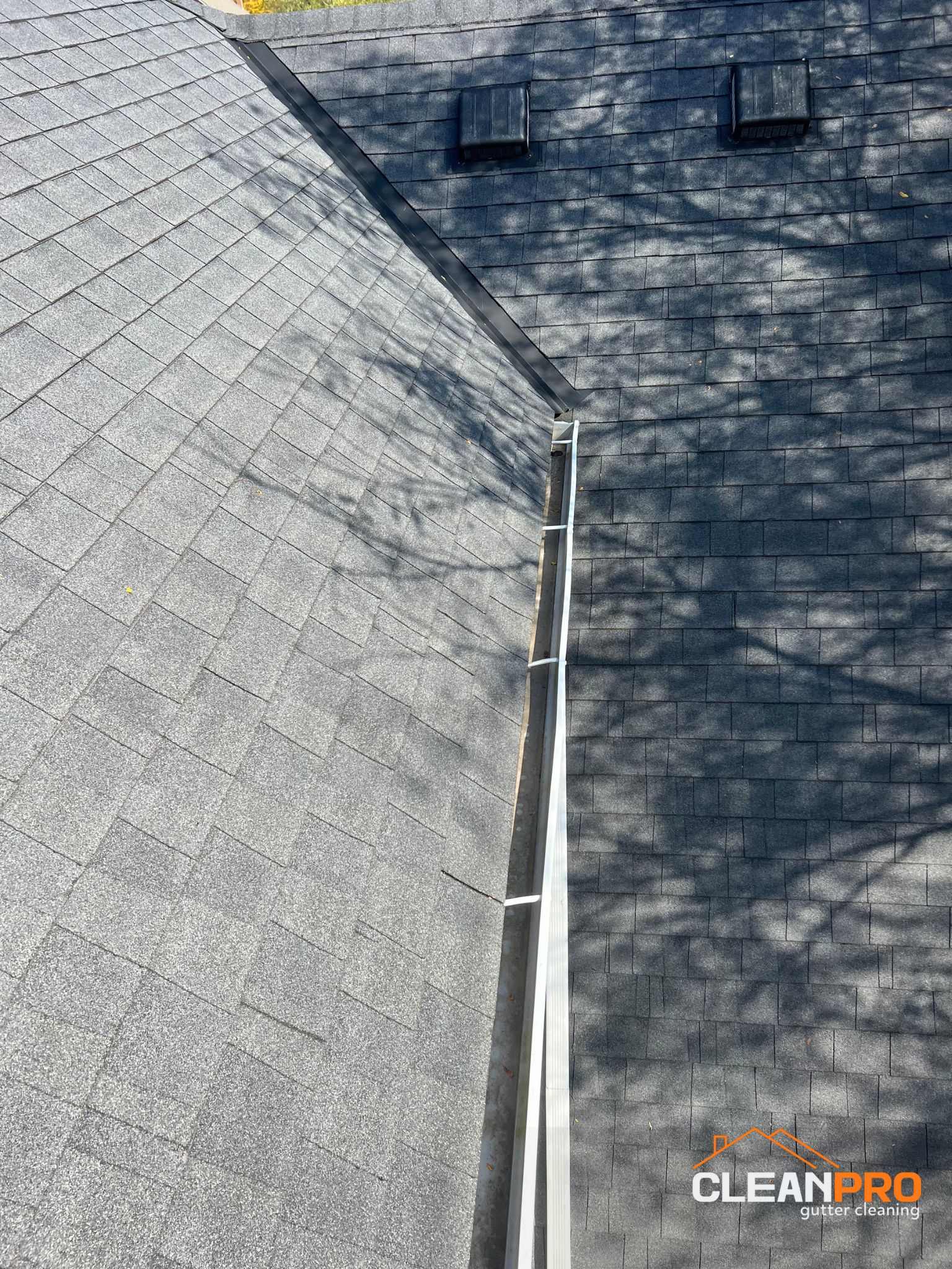 Best Gutter Cleaning Service in Rochester