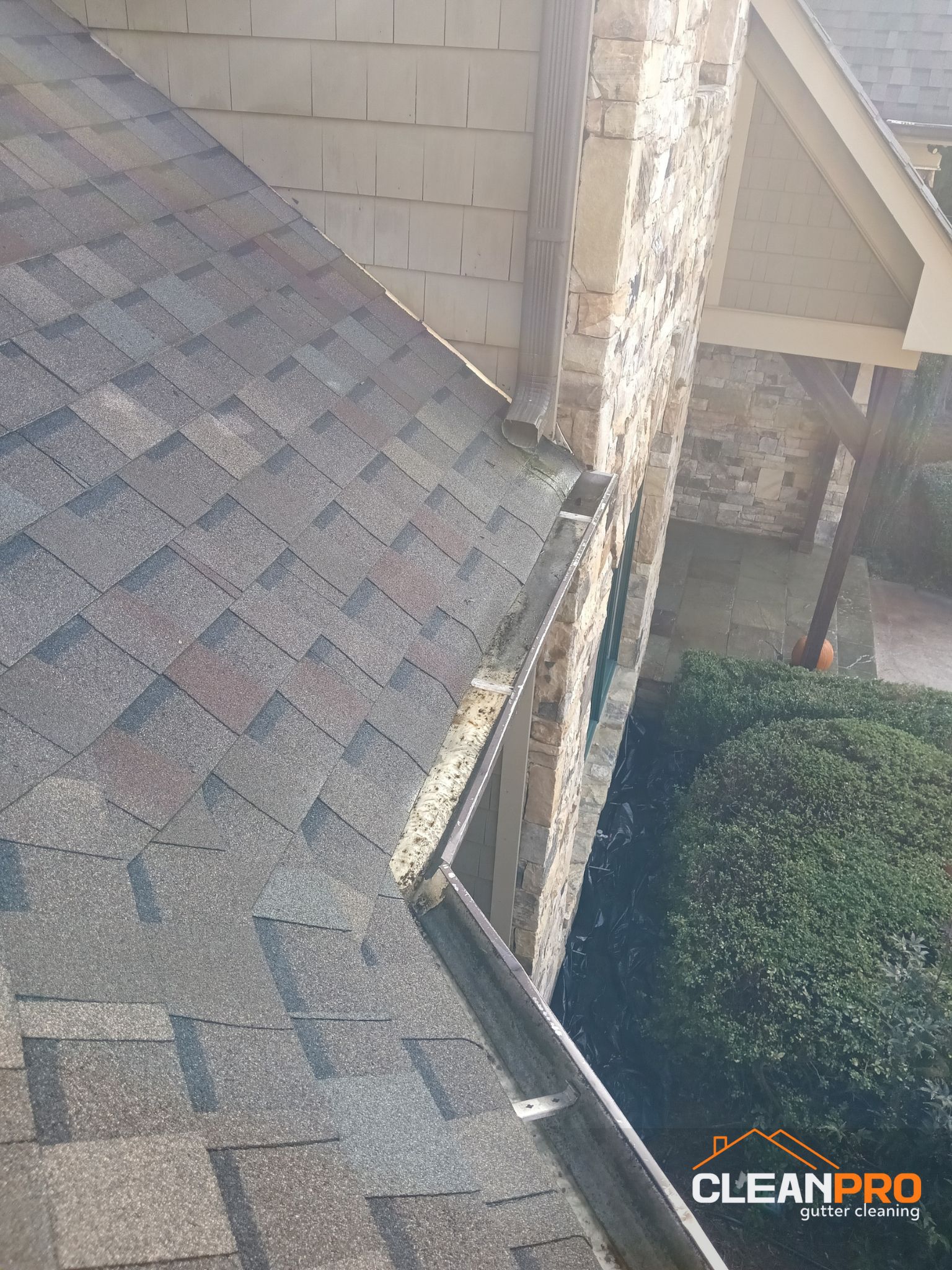 Best Gutter Cleaning Service in Tacoma