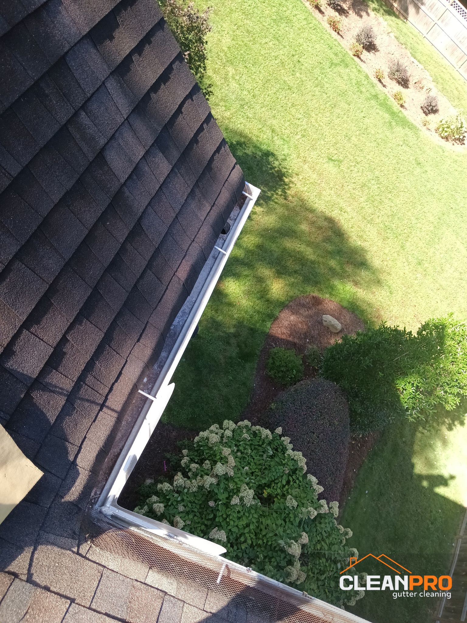 Best Gutter Cleaning Service in Tampa