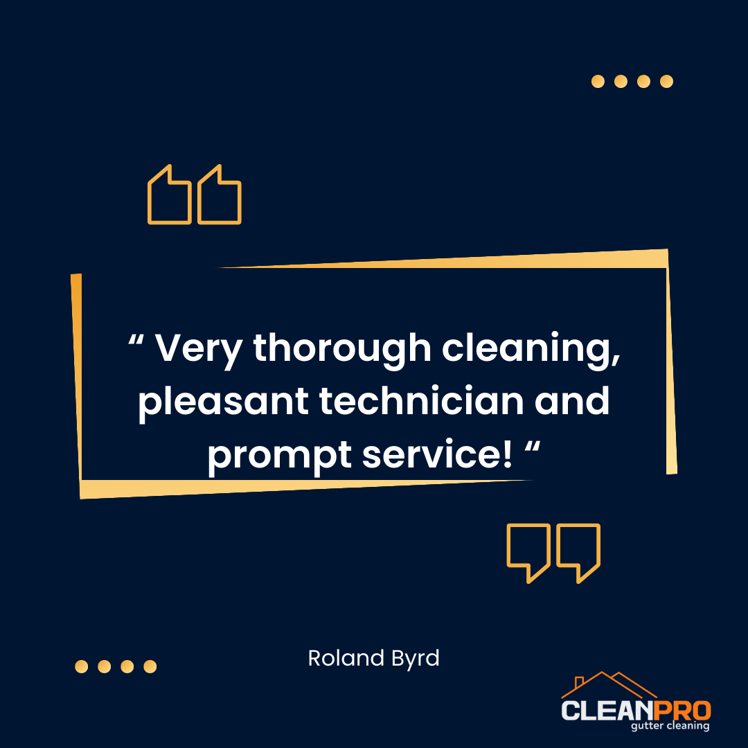Roland from Staten Island, NY gives us a 5 star review for a recent gutter cleaning service.