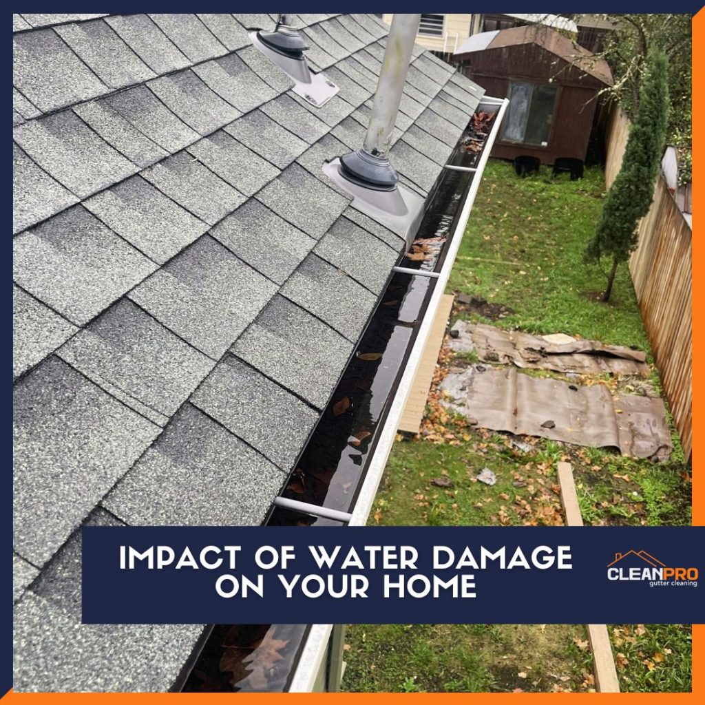 Impact of Water Damage on Your Home
