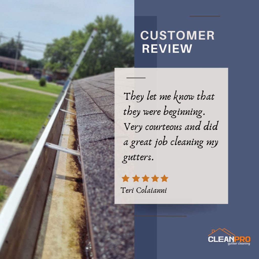 Kansas City KS Review from Teri C. Clean Pro Gutter Cleaning