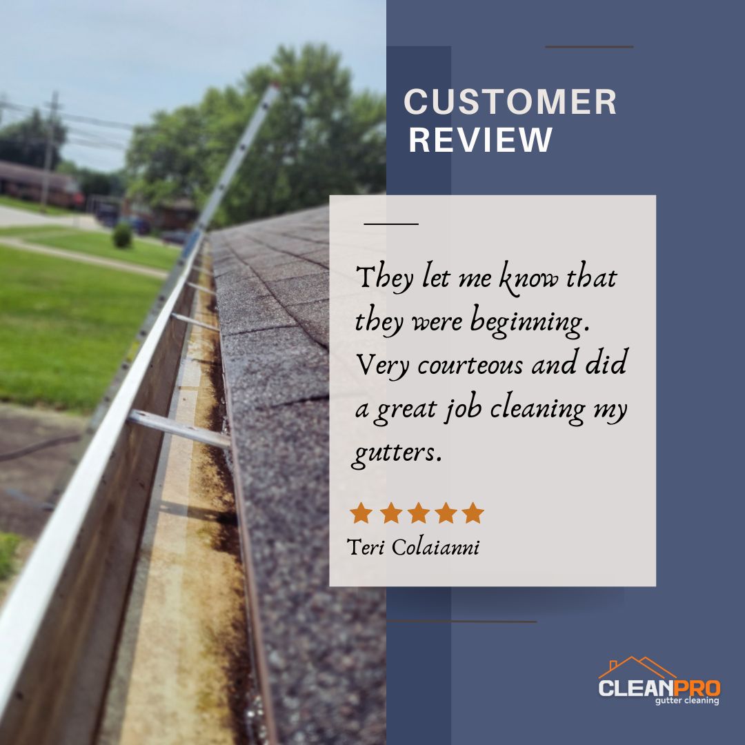Teri from Kansas City, KS gives us a 5 star review for a recent gutter cleaning service.