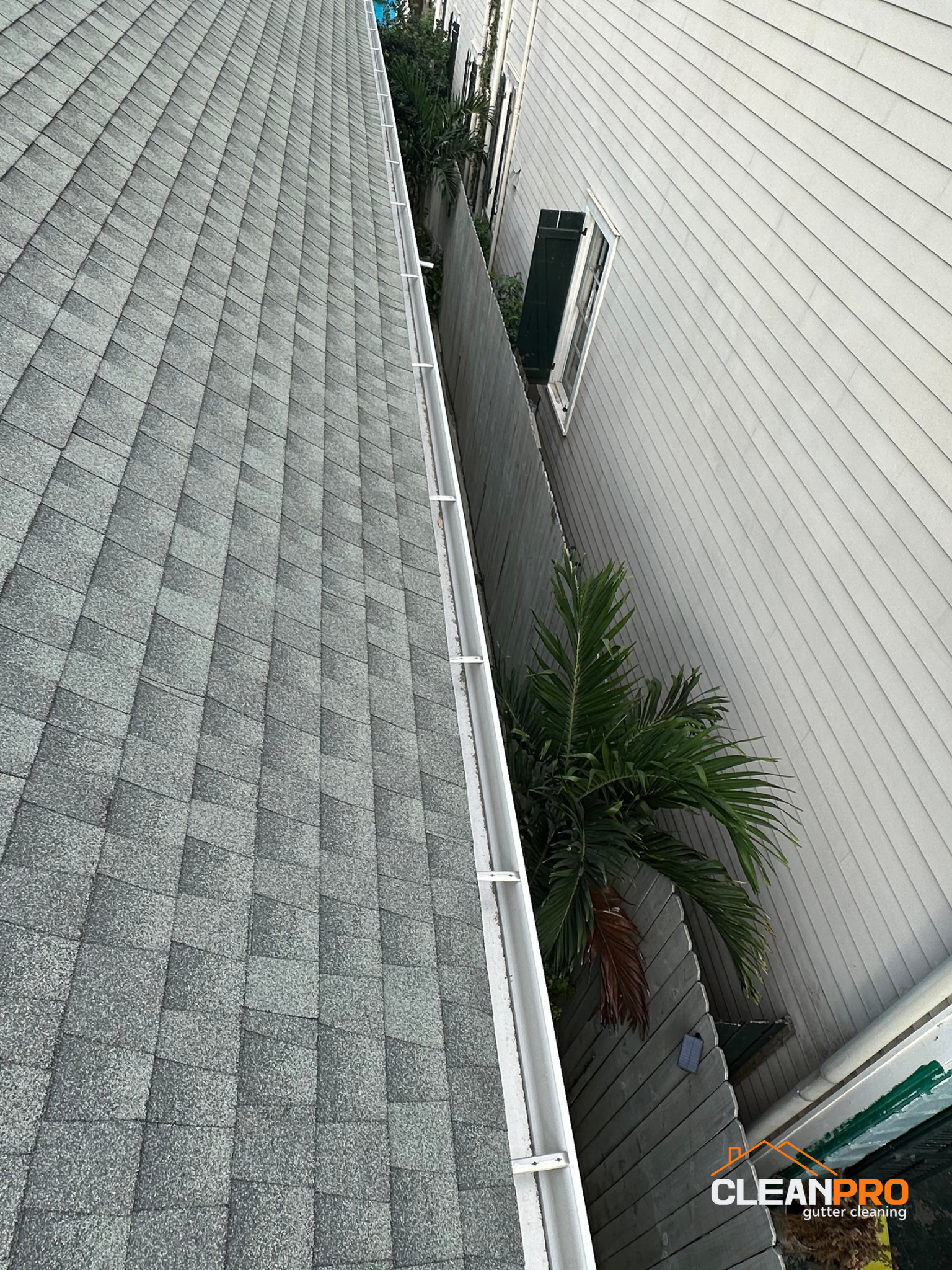 Local Gutter Cleaning in Austin