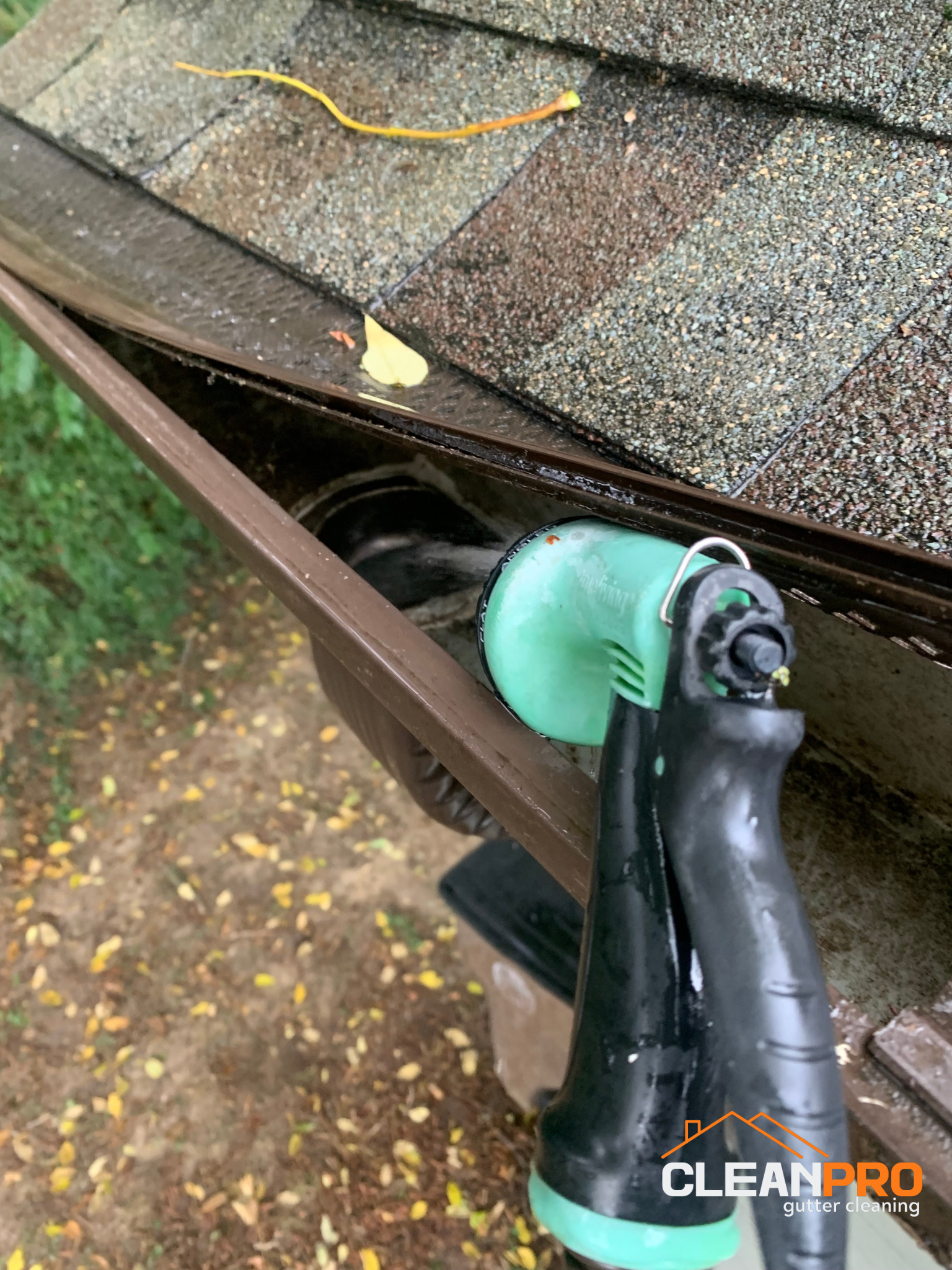 Local Gutter Cleaning in Charlotte