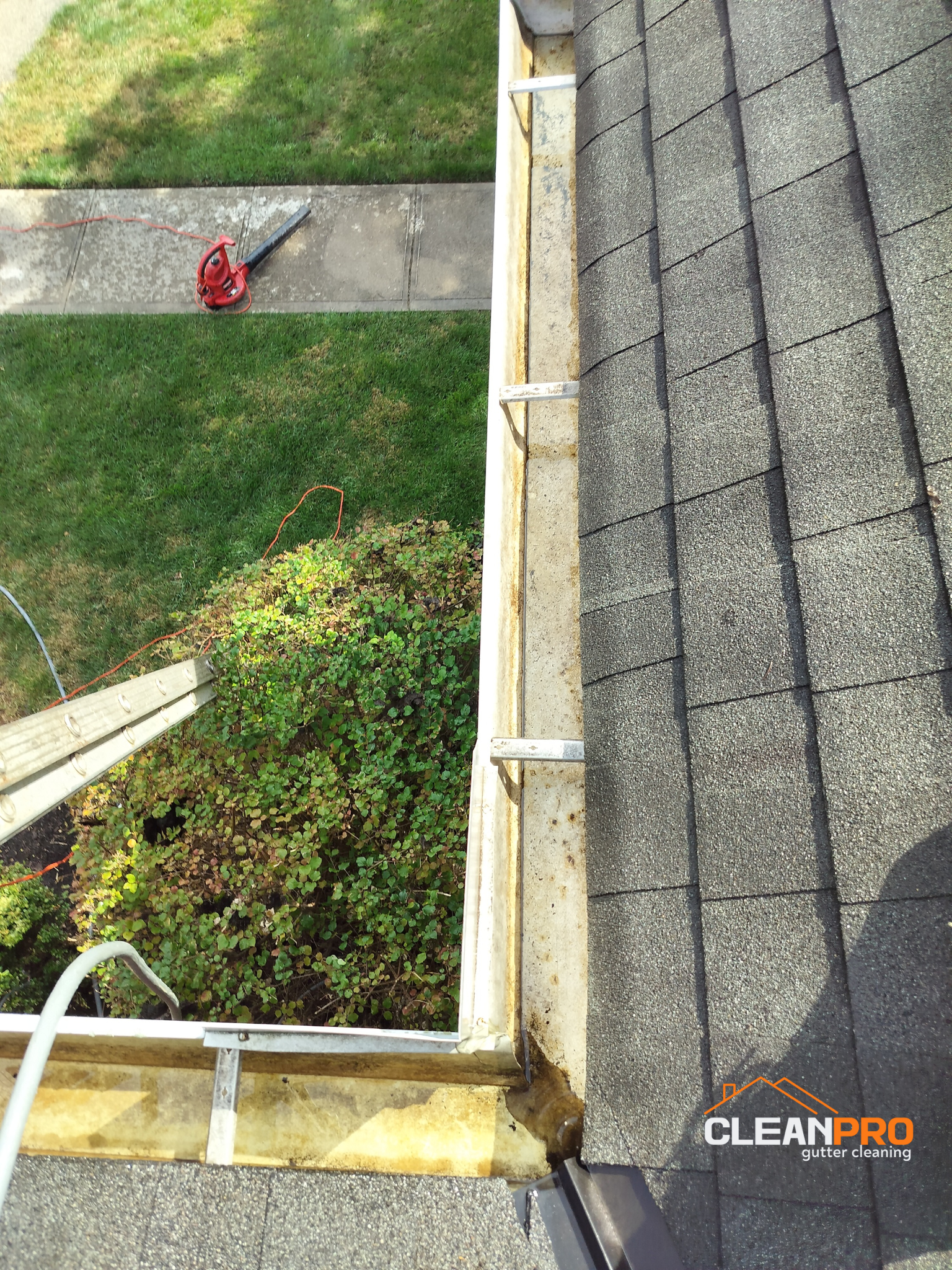 Local Gutter Cleaning in Dayton