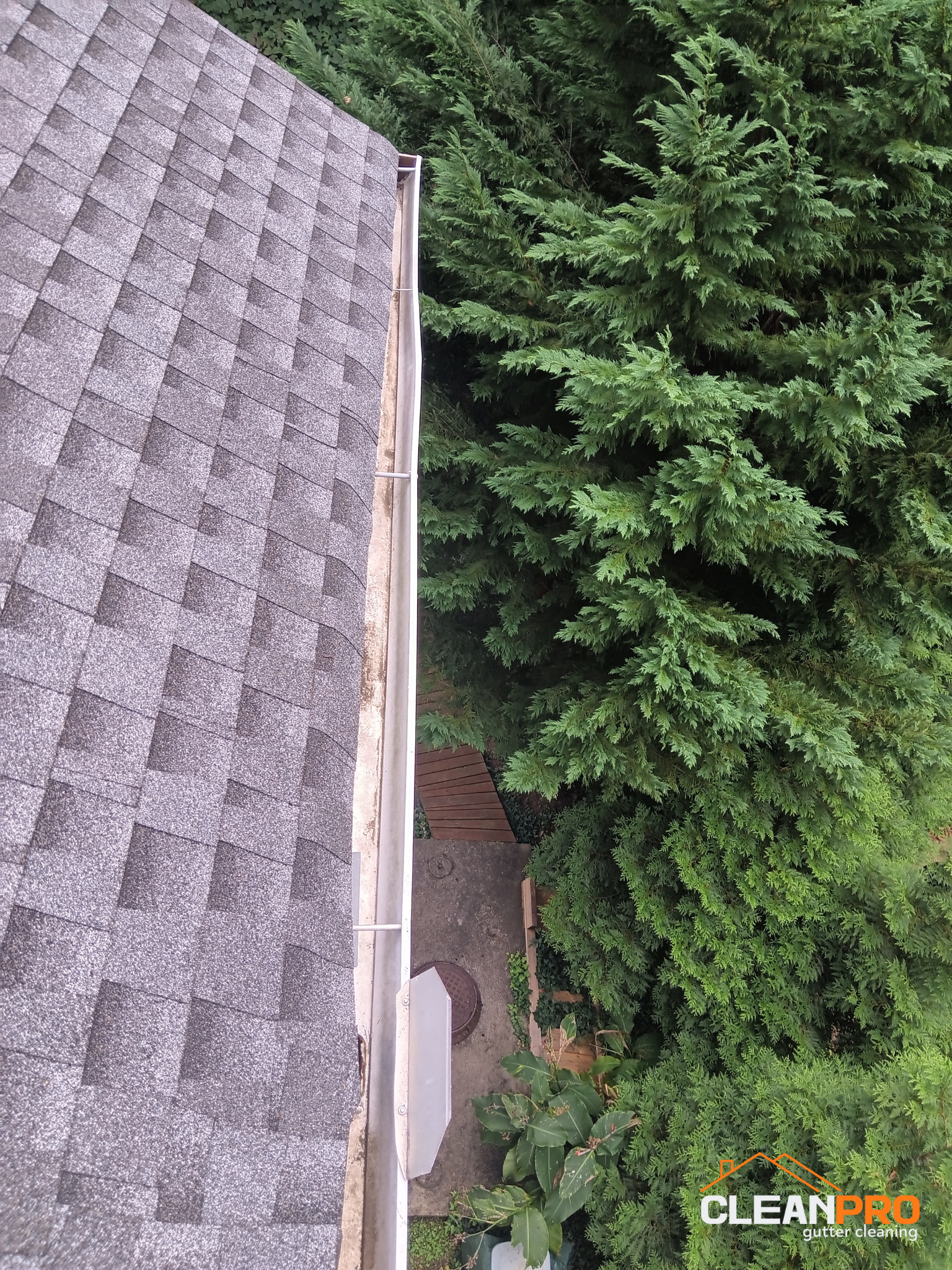 Local Gutter Cleaning in Douglasville
