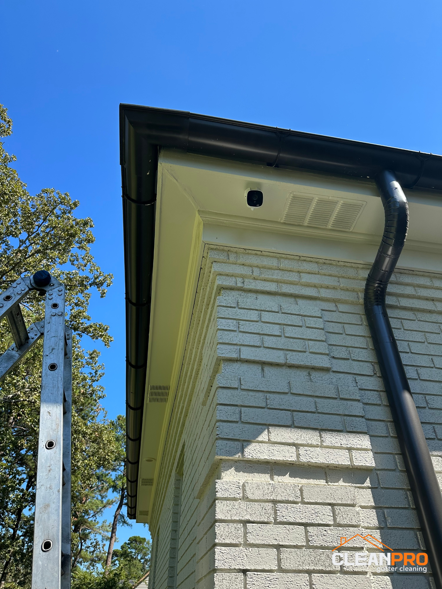 Local Gutter Cleaning in Franklin