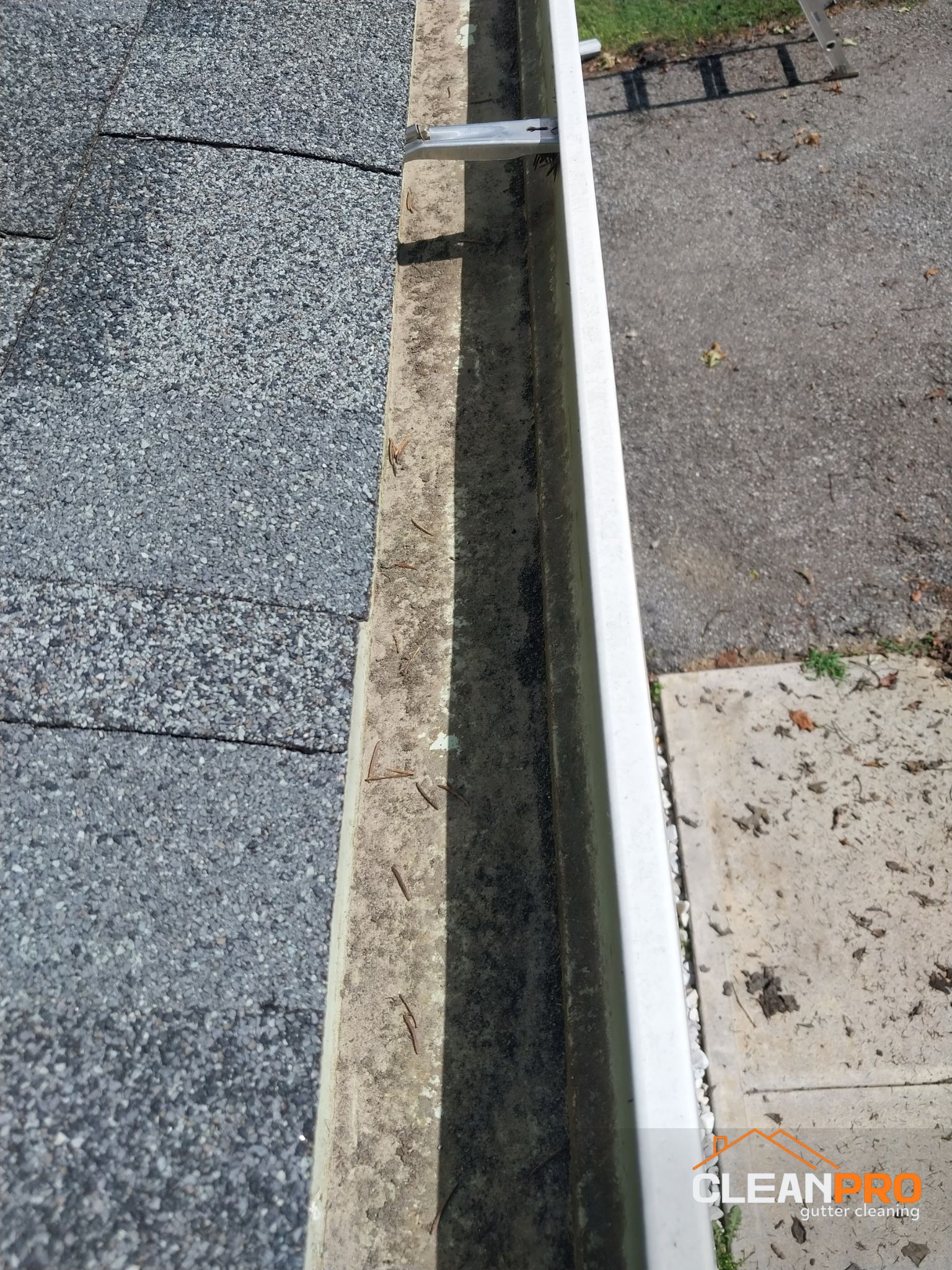 Professional Alexandria Gutter Cleaners