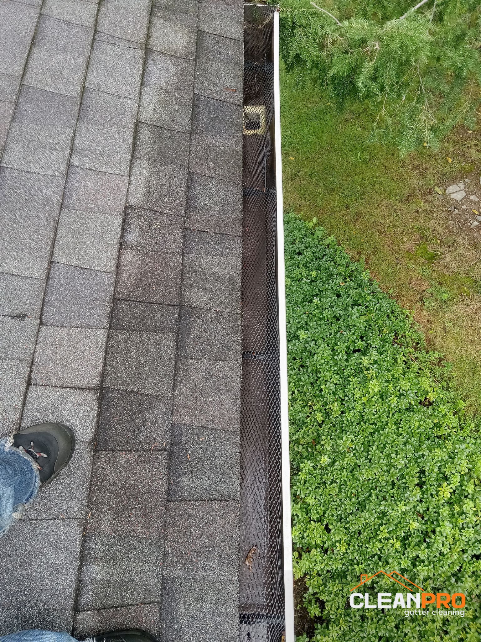Professional Rochester Gutter Cleaners