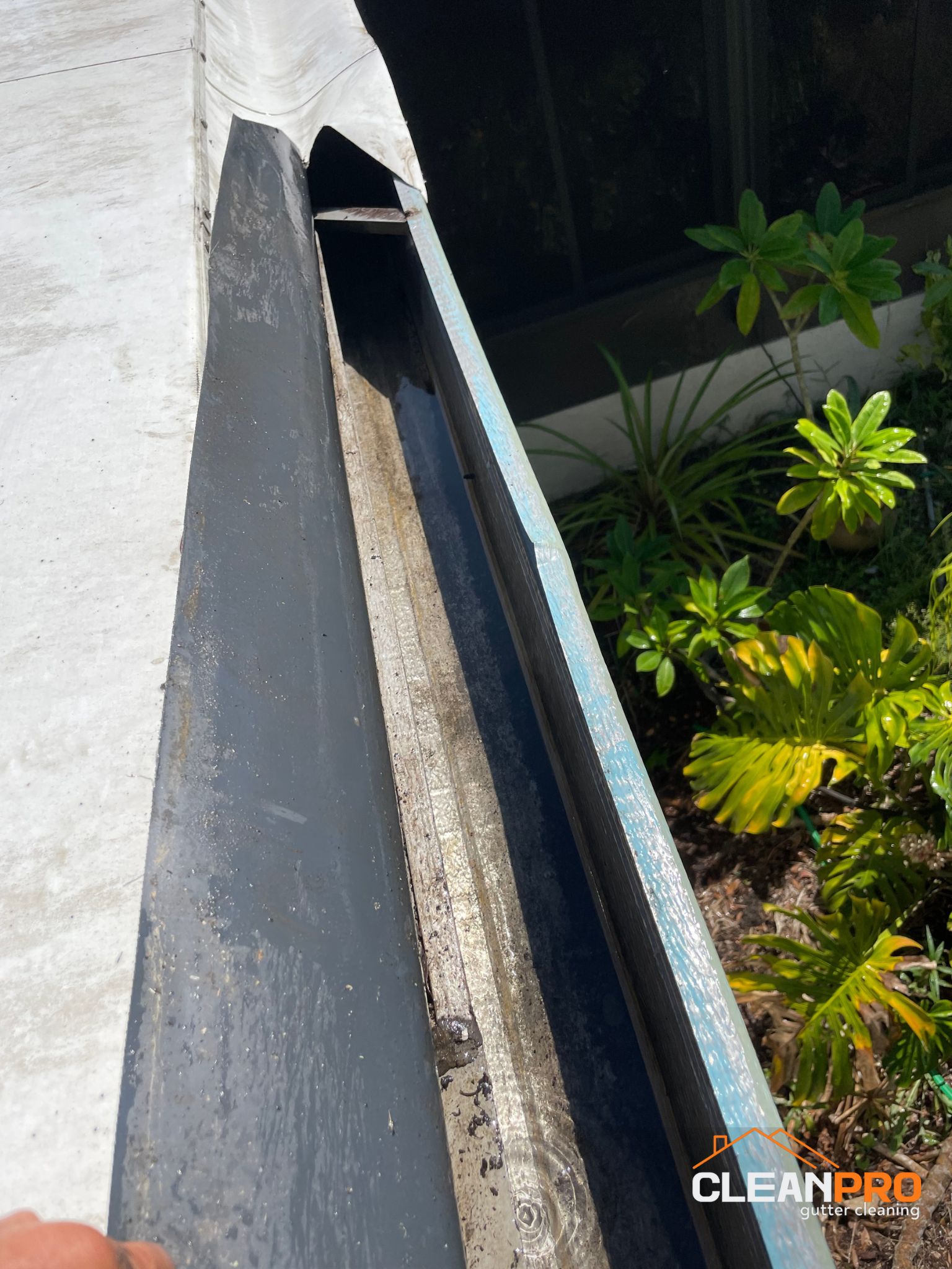 Professional Sarasota Gutter Cleaners