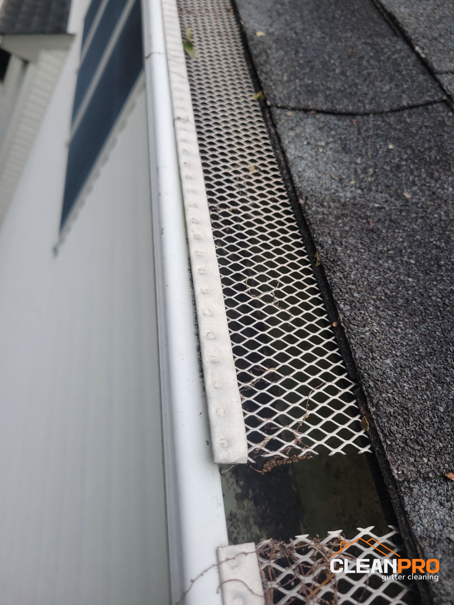 Quality Gutter Cleaning in Alexandria VA