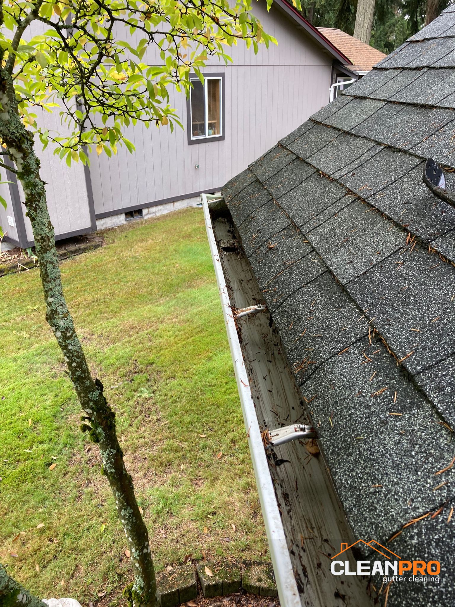 Quality Gutter Cleaning in Cary NC