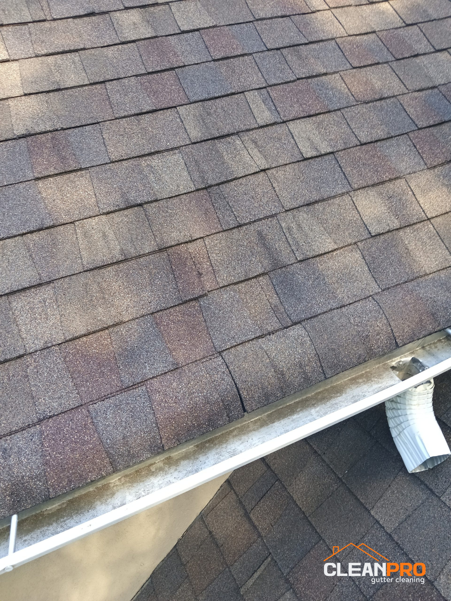 Quality Gutter Cleaning in Houston TX