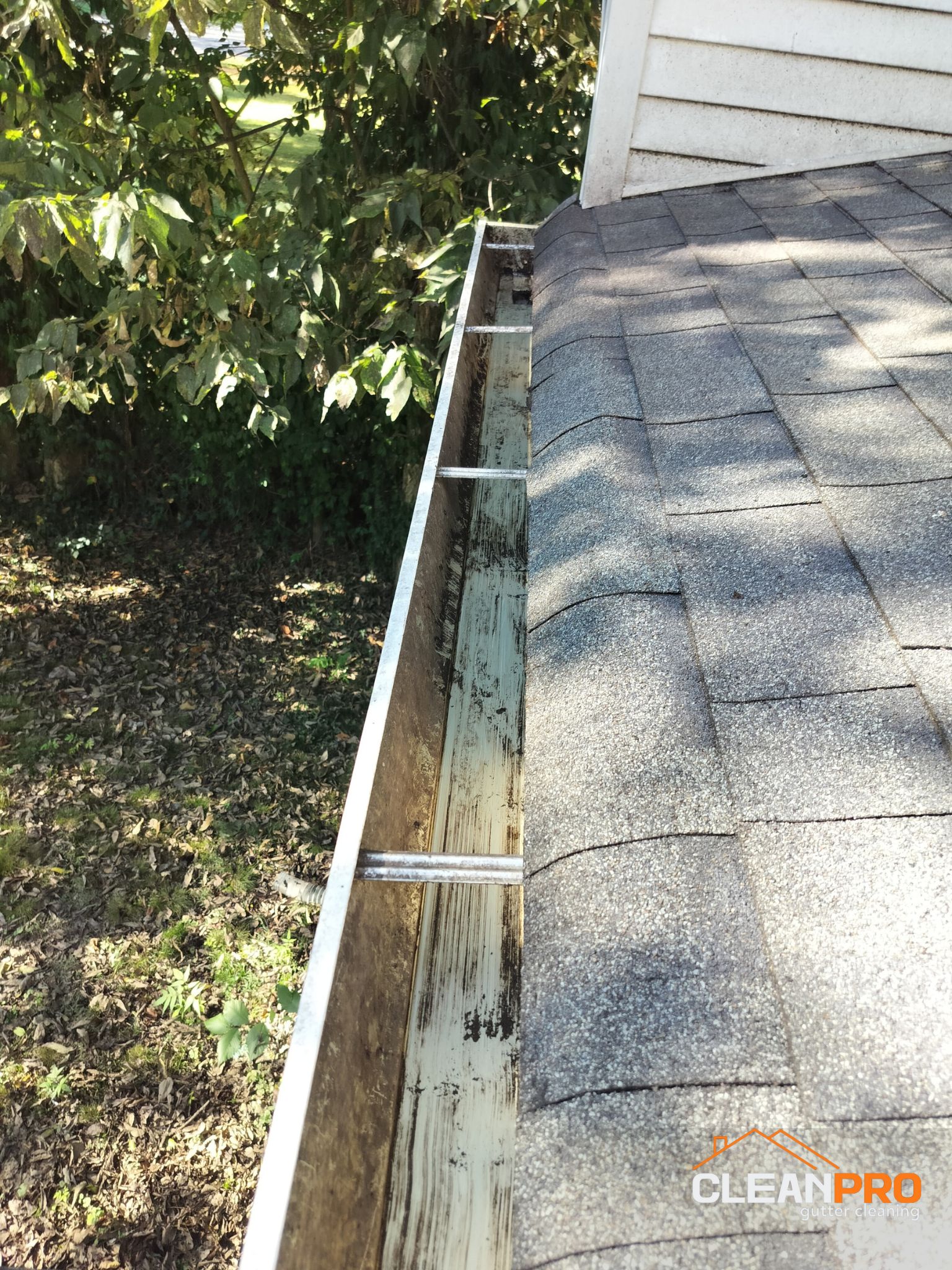 Quality Gutter Cleaning in Raleigh NC