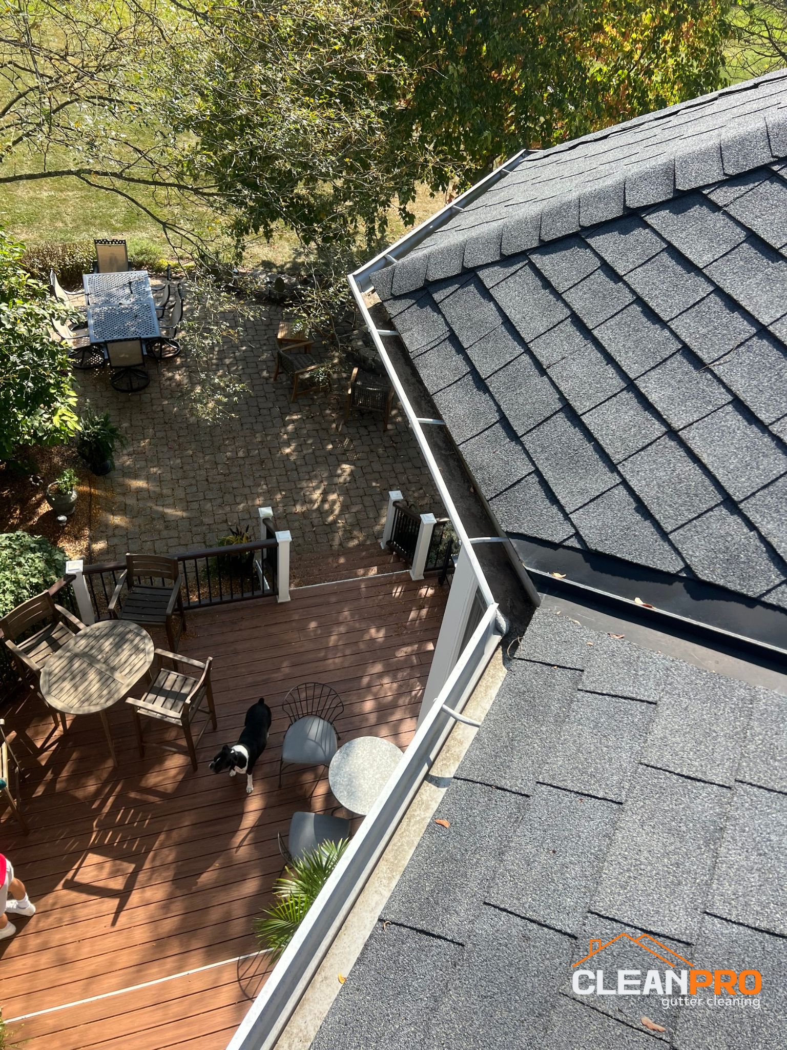 Quality Gutter Cleaning in Richmond VA