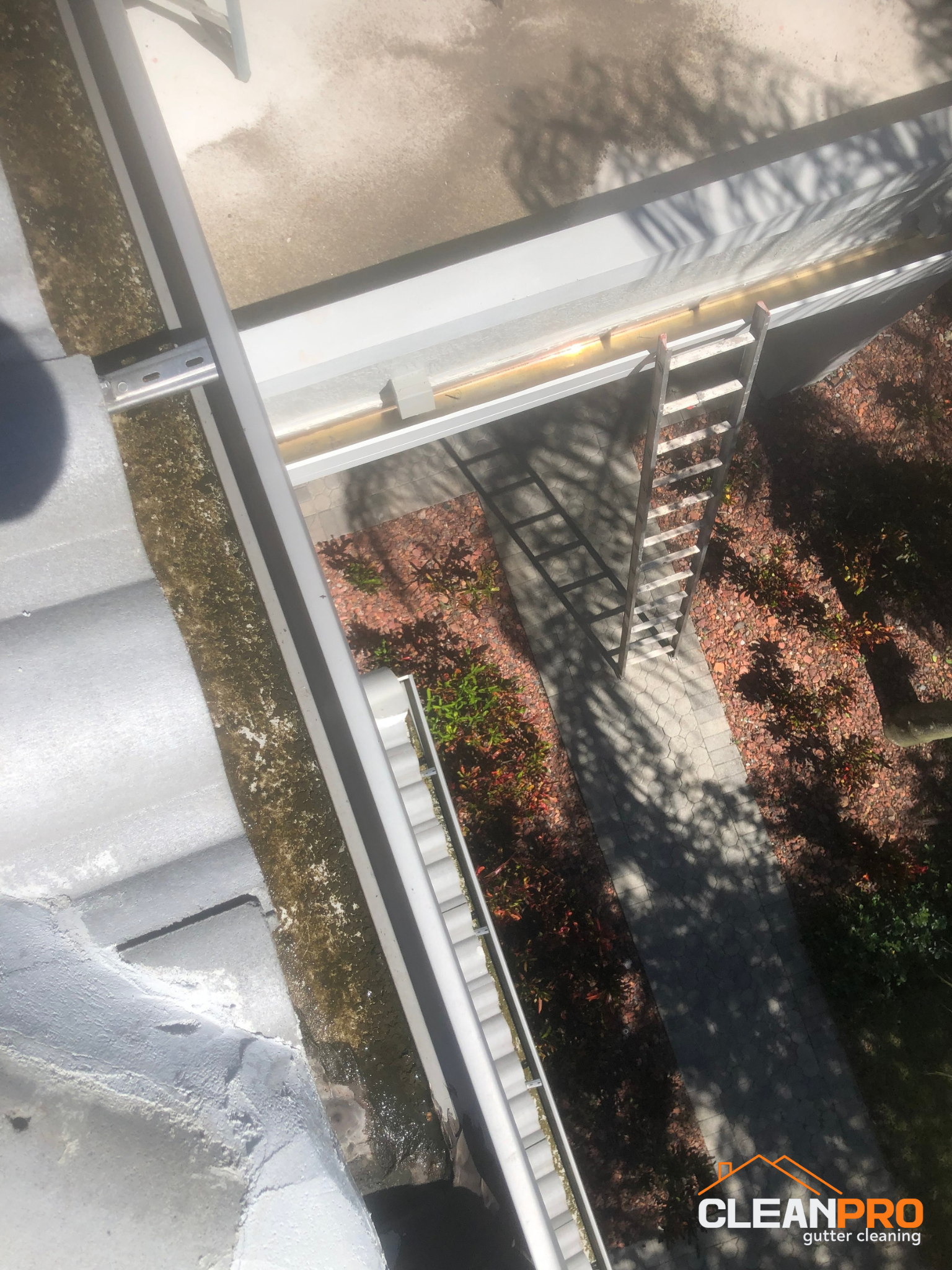 Residential Gutter Cleaning in Boulder CO