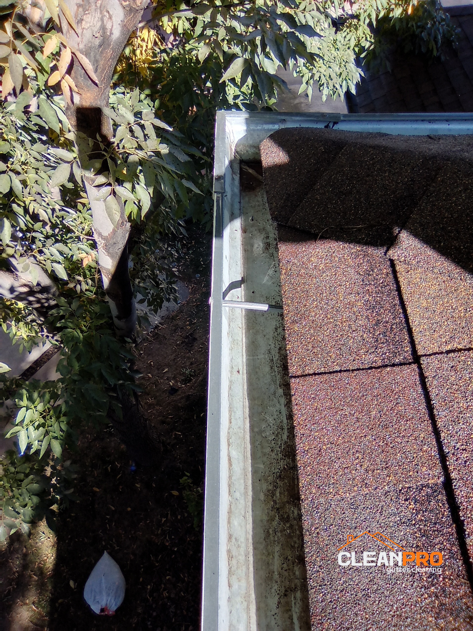 Residential Gutter Cleaning in Colorado Springs CO