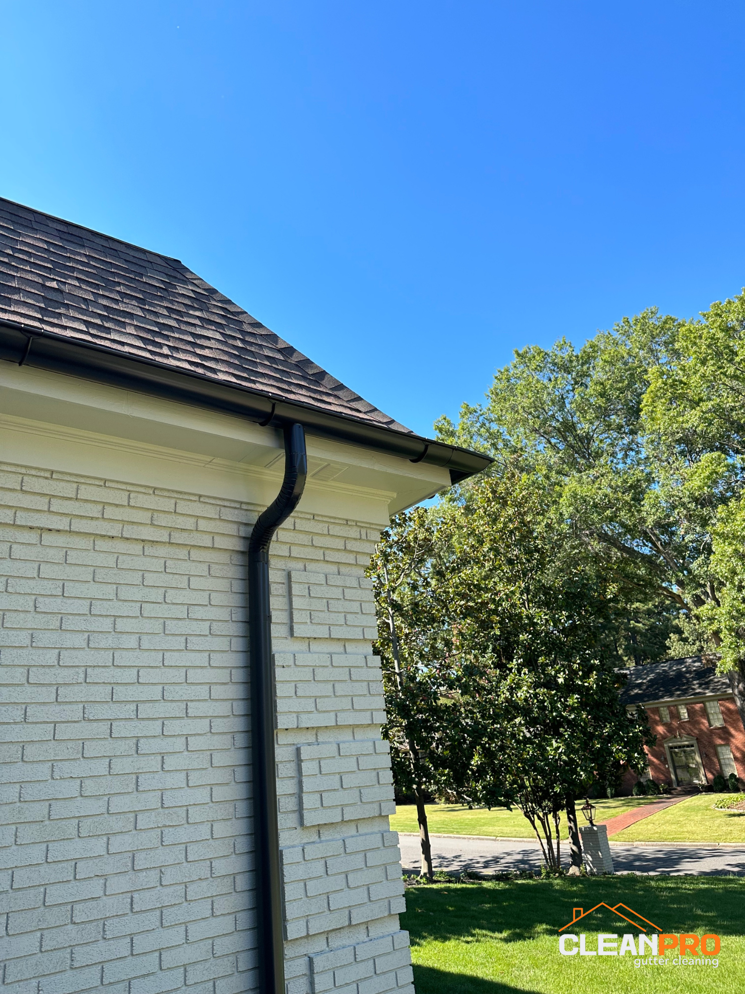 Residential Gutter Cleaning in Franklin TN