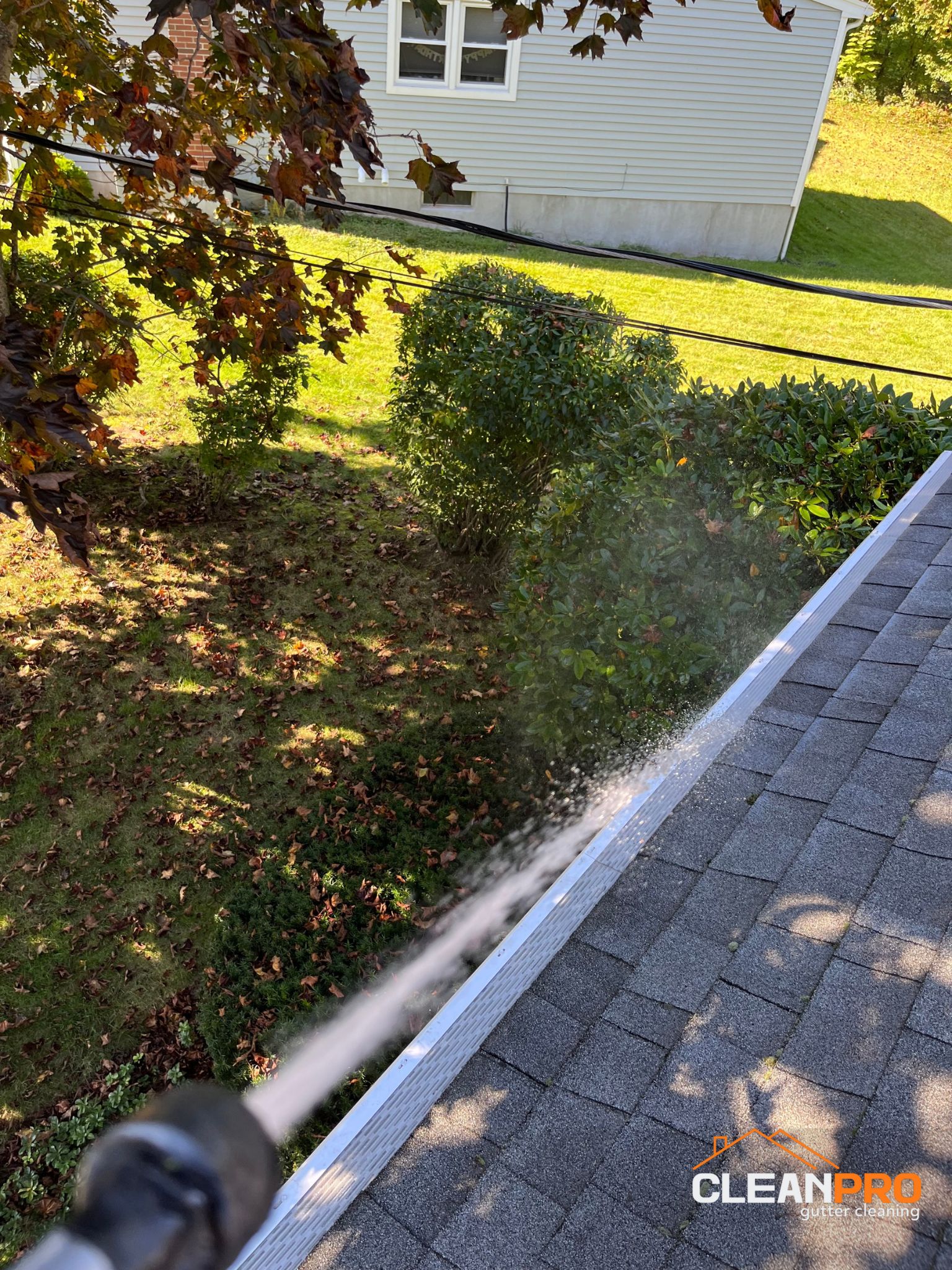Residential Gutter Cleaning in Greenville NC