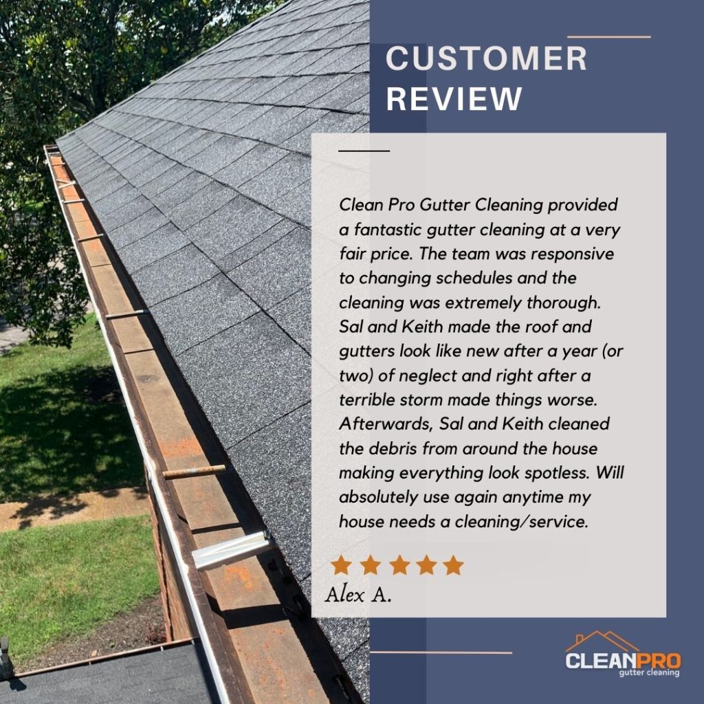 Alex from Douglasville, GA gives us a 5 star review for a recent gutter cleaning service.