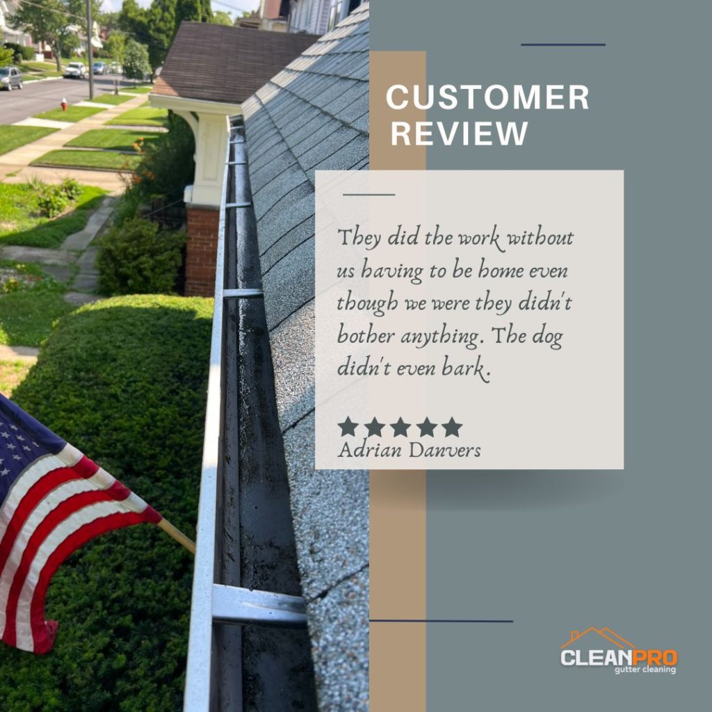 Adrian in Boston, MA gives us a 5 star review for a recent gutter cleaning service.
