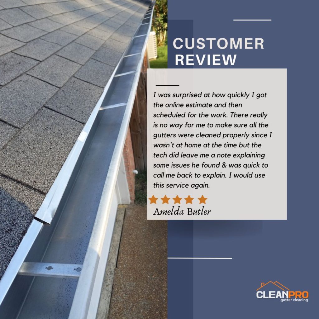 Amelda from Naperville, IL gives us a 5 star review for a recent gutter cleaning service.