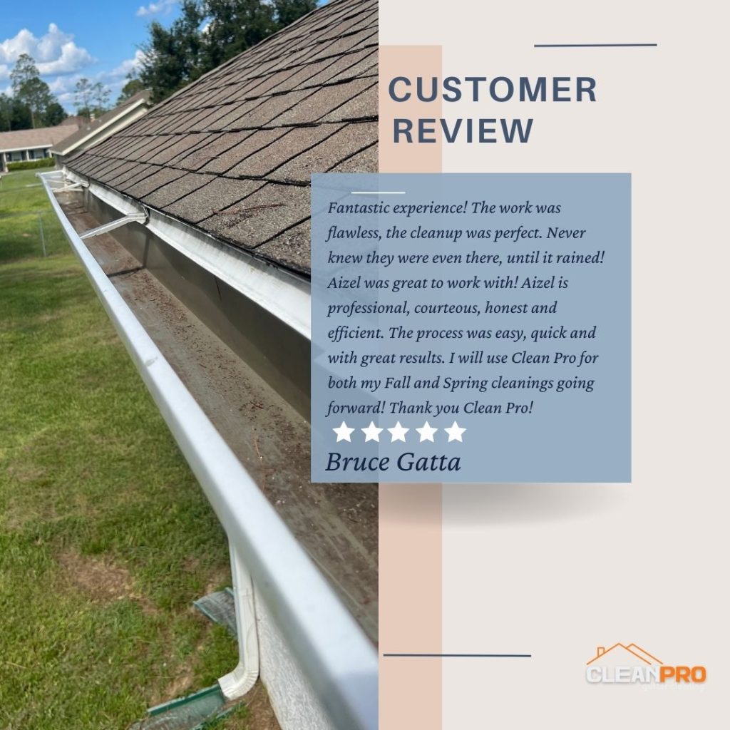 Bruce from Des Moines, IA gives us a 5 star review for a recent gutter cleaning service.
