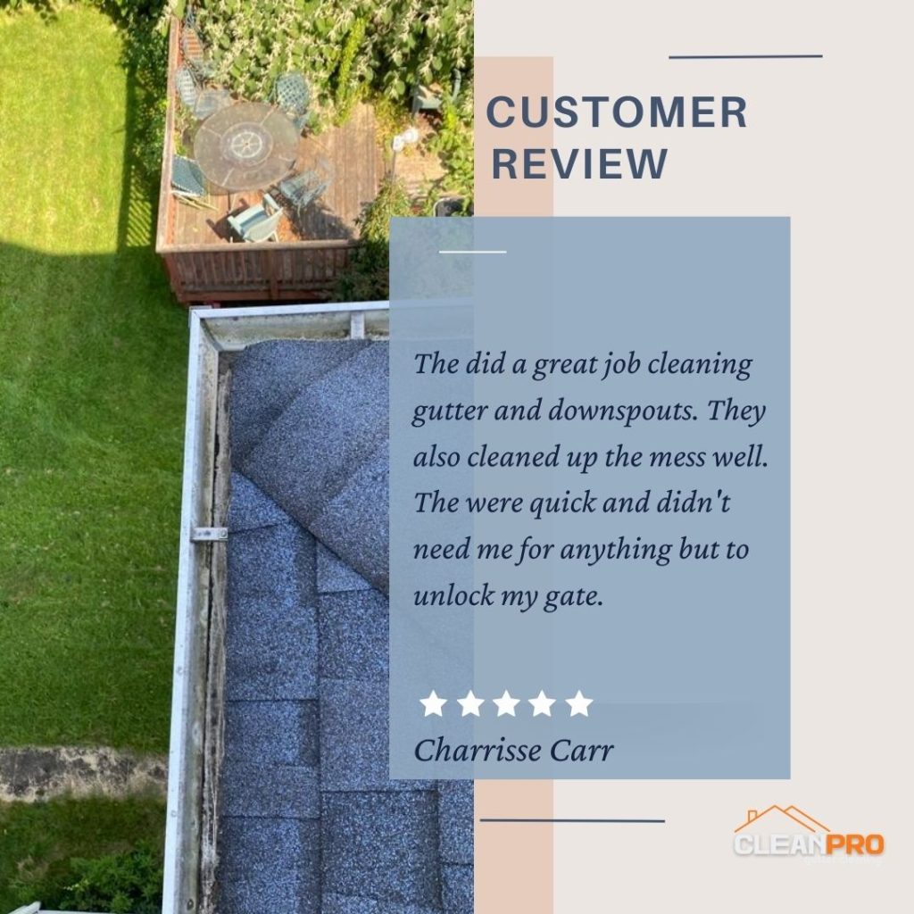 Charrisse in Austin, TX gives us a 5 star review for a recent gutter cleaning service.