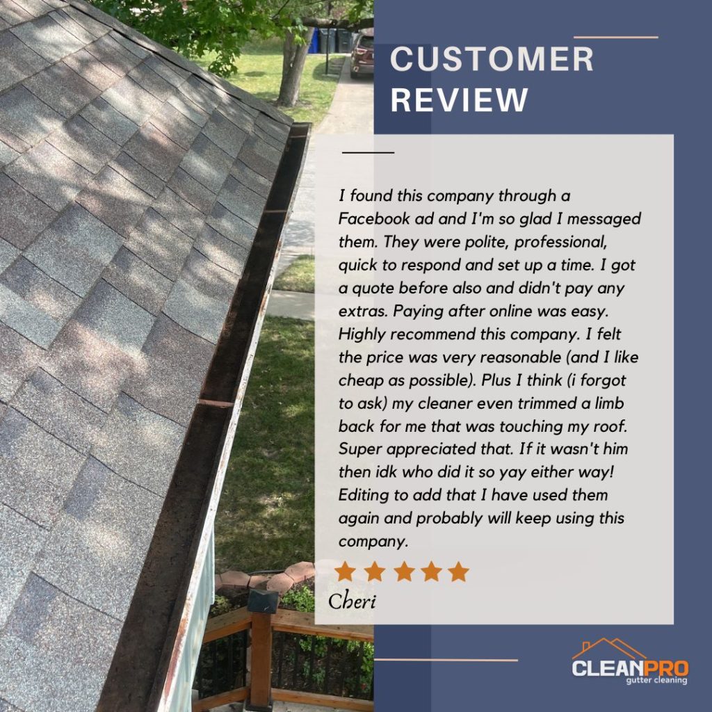 Cheri from Kennesaw, GA gives us a 5 star review for a recent gutter cleaning service.