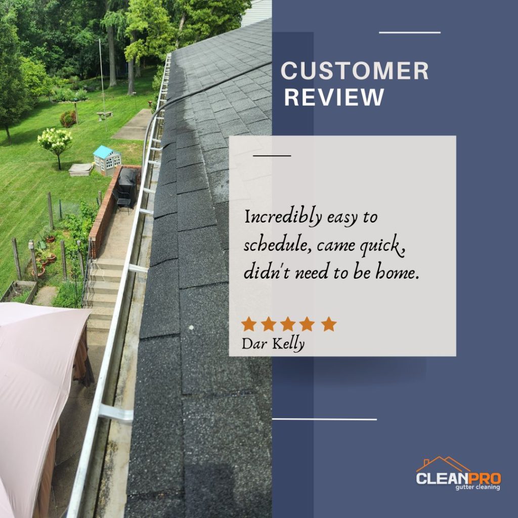 Dar in Portland, OR gives us a 5 star review for a recent gutter cleaning service.