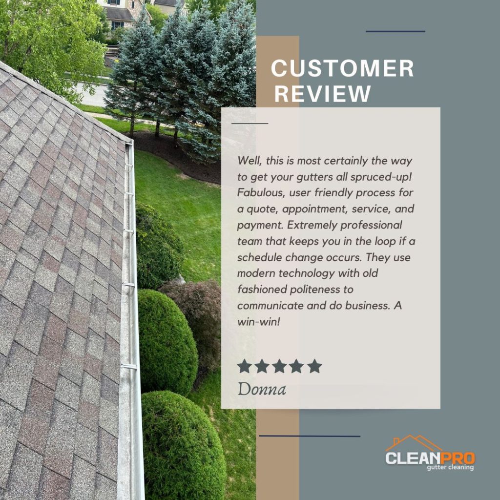 Donna from Chicago, IL gives us a 5 star review for a recent gutter cleaning service.